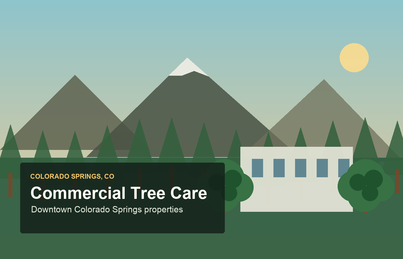 Lot Clearing in Colorado Springs CO by Colorado Springs Arborists