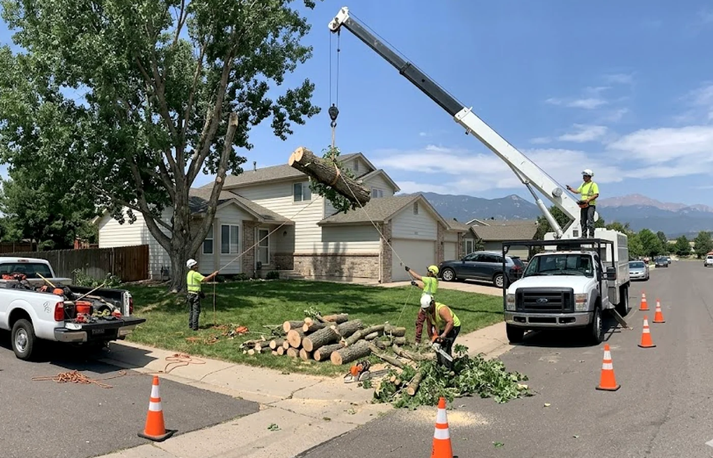tight-entry tree removal planning near foothill properties