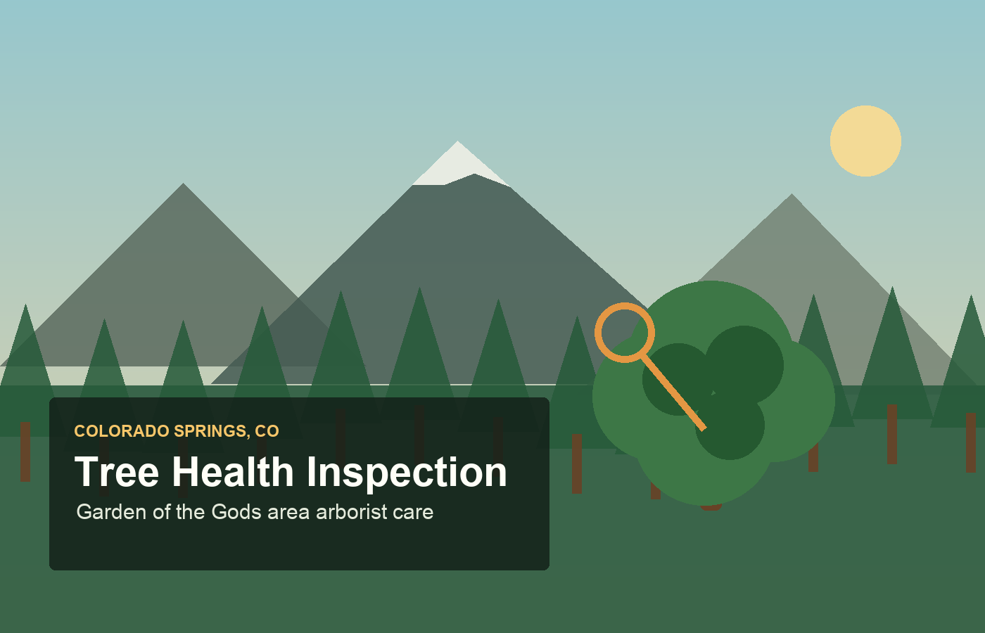Arborist Consultations in Colorado Springs CO by Colorado Springs Arborists